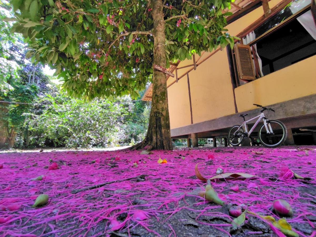 Casa Jamboo Sao Sebastiao (Sao Paulo) Exteriér fotografie