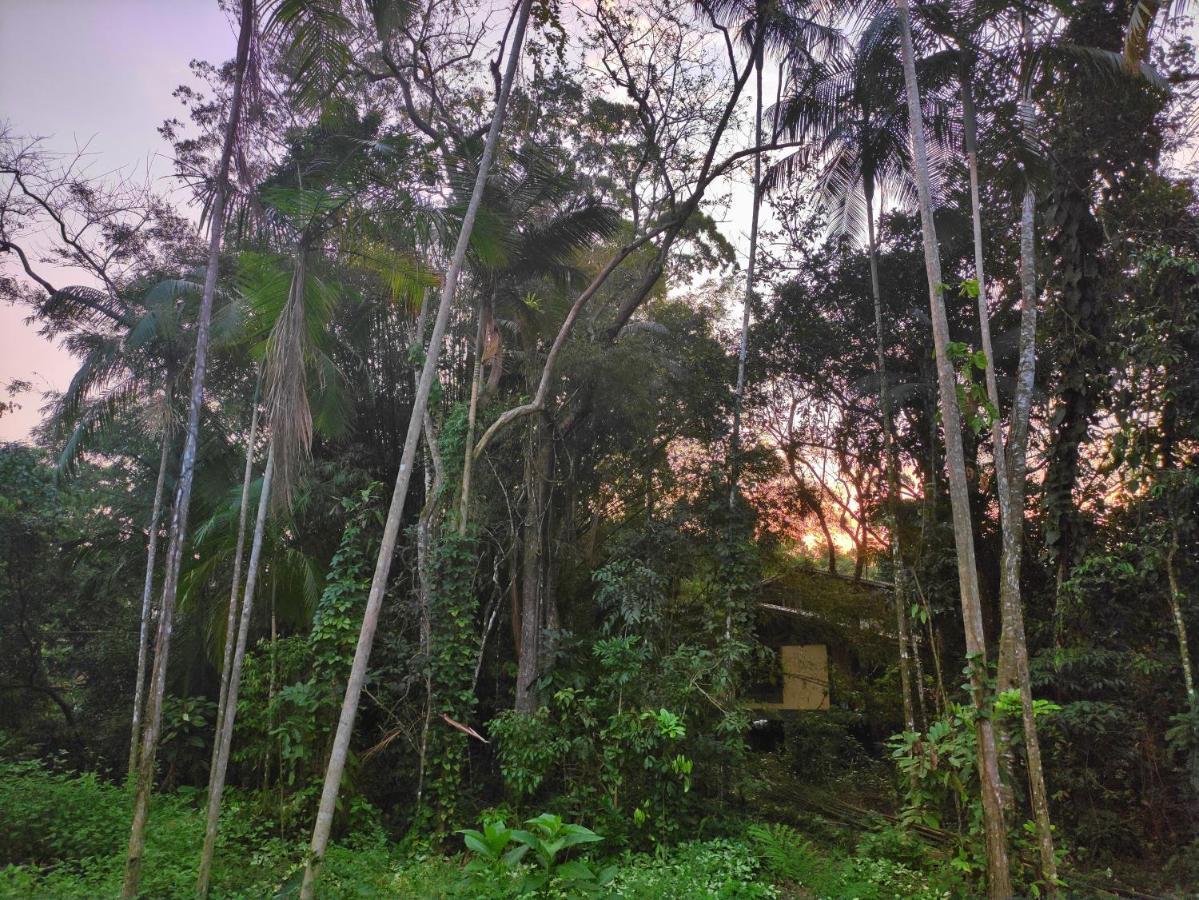 Casa Jamboo Sao Sebastiao (Sao Paulo) Exteriér fotografie